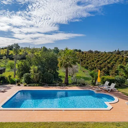 فيلة Family And Pool By Homing *