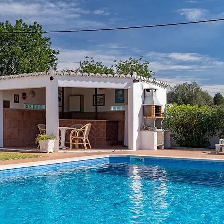 فيلة Family And Pool By Homing *